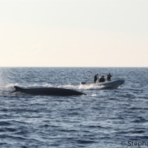 CET_2755