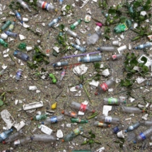 DET_0006 - Detritus dans le port de Buenos Aires