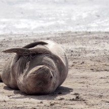 EME_0055