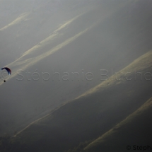 PAR_0137
