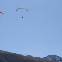 PAR_3133