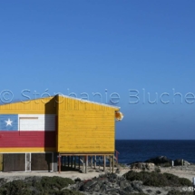 PAYSA_26922 - Punta Chorros, Amérique du Sud, Chili