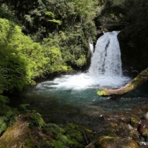 PAYSA_35223 - Cascade / Waterfall _ Parc National Puyehue, Amérique du Sud, Chili