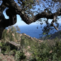 PAYSA_40146 - Balançoire / Swing _ Pic de l'ours, Saint Raphael, Var, France