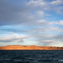 PAY_0698 - Puerto pyramides, Patagonie Chubut, Argentine, Amérique du Sud