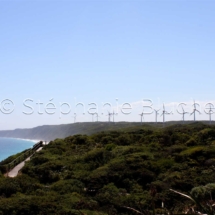 PAY_9650 - Heoliene / Windmill _ Esperance, Western Australia, Australie