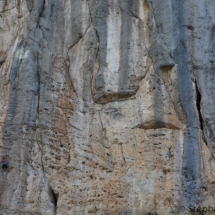 SPO_0501 - Escalade / Climbing _ Ceüse, Hautes Alpes, France