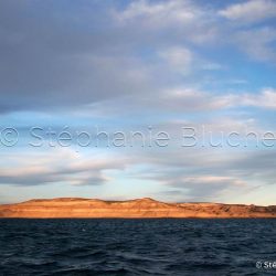 Puerto pyramides, Patagonie Chubut, Argentine, Amérique du Sud