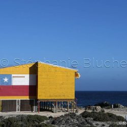 Punta Chorros, Amérique du Sud, Chili