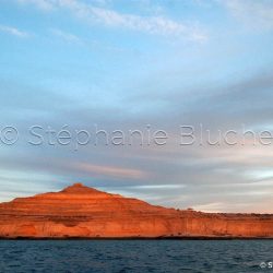 Puerto pyramides, Patagonie Chubut, Argentine, Amérique du Sud