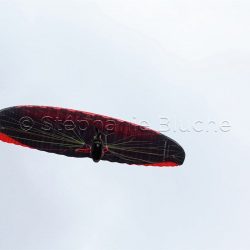 Parapente / Paragliding _ Natural Games, Milllau, Alpes de haute provence, France