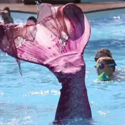 vidéo - sirène - airpurstudio